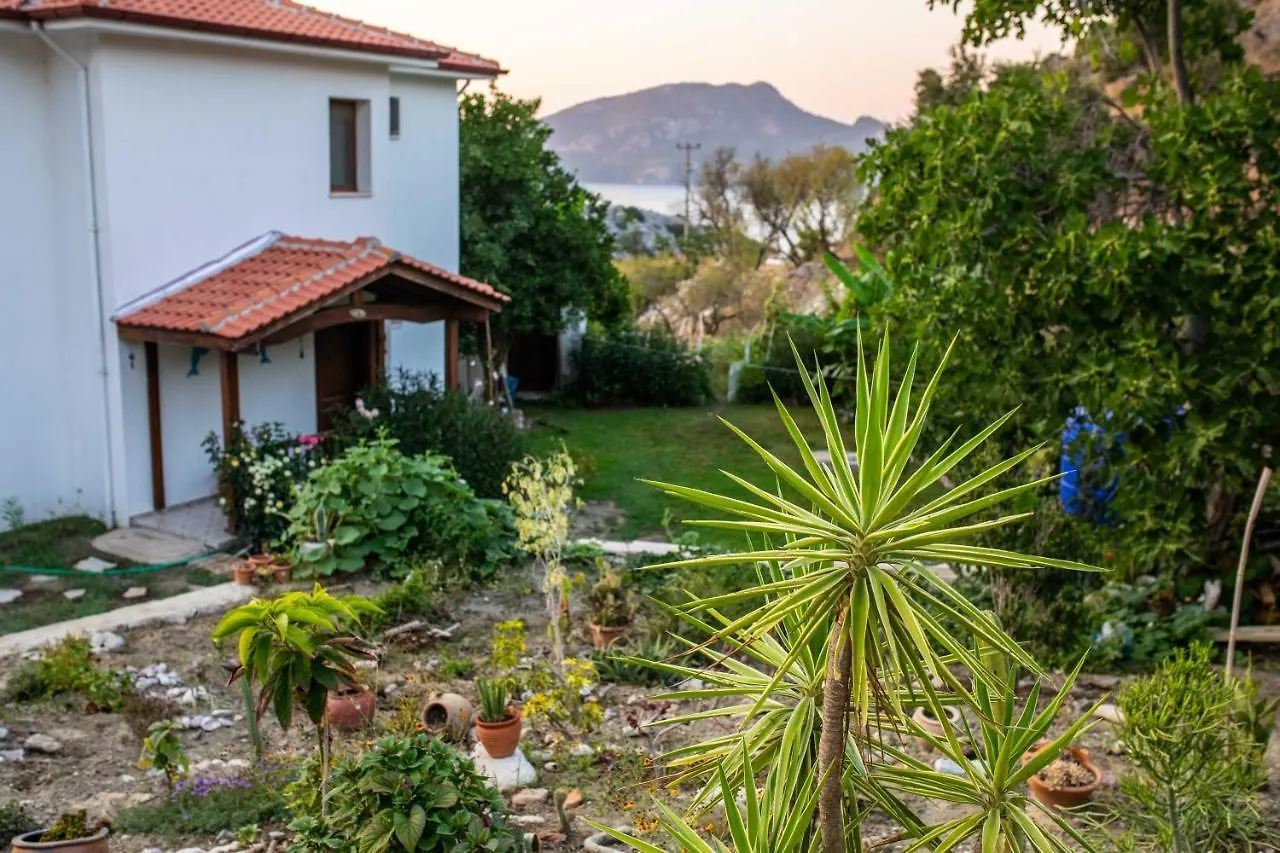 Villa Jasmin Selimiye -With Pool Daily Weekly Rentals Marmaris 0*,  Turcia