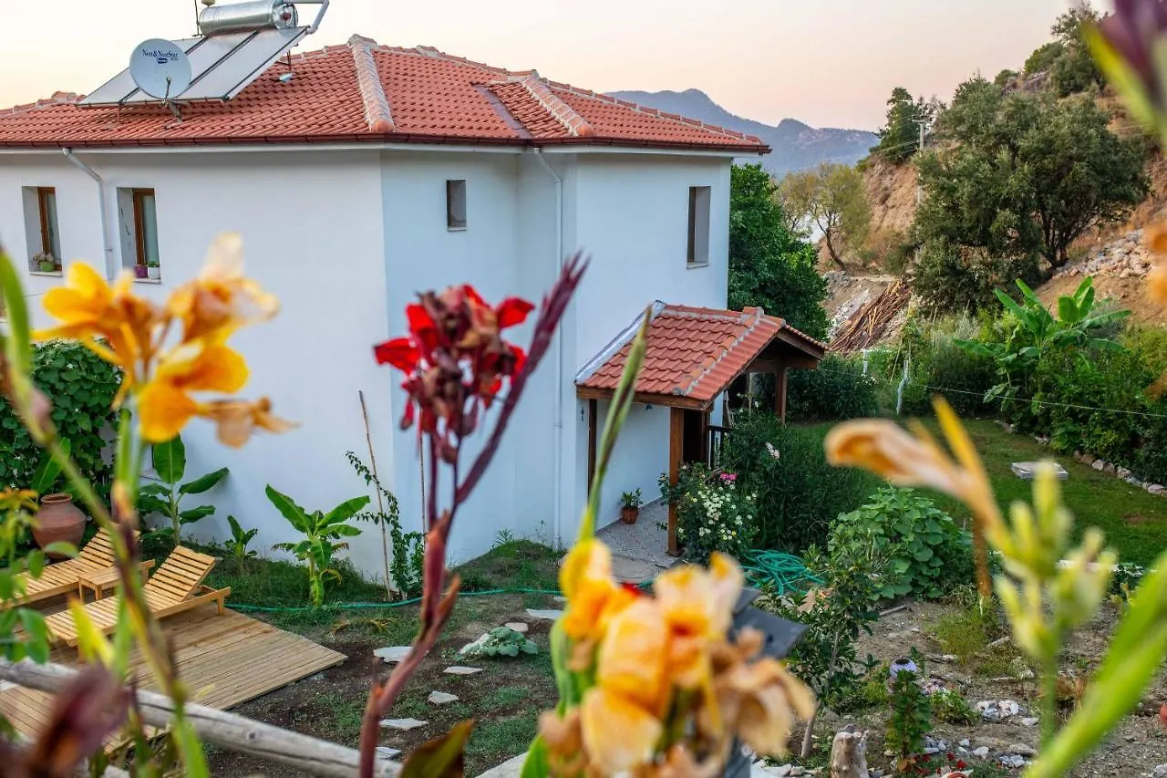 Villa Jasmin Selimiye -With Pool Daily Weekly Rentals Marmaris