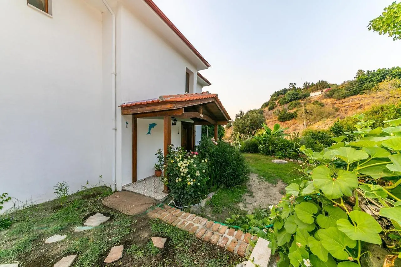 Villa Jasmin Selimiye -With Pool Daily Weekly Rentals Marmaris