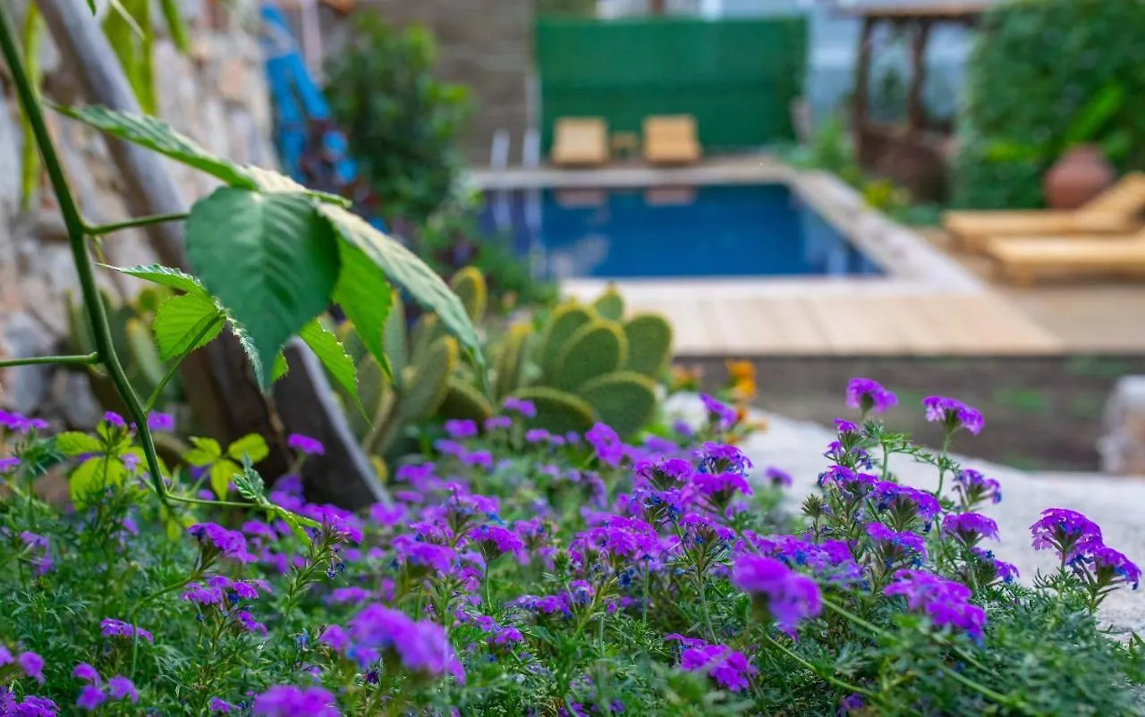 Villa Jasmin Selimiye -With Pool Daily Weekly Rentals Marmaris Turcia