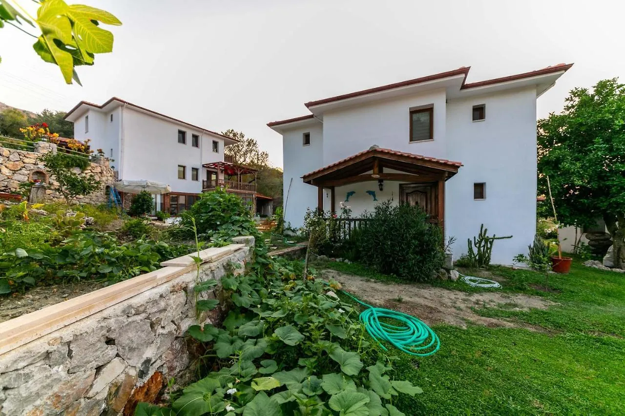 Villa Jasmin Selimiye -With Pool Daily Weekly Rentals Marmaris